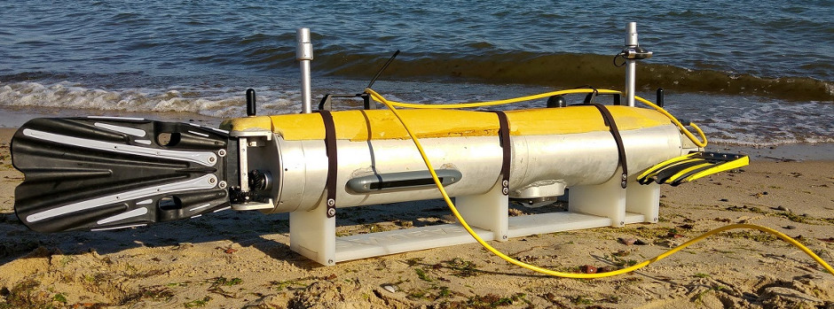 Biomimicing Autonomous Underwater Vehicle (AUV) EDA SABUVIS - Covert Shores