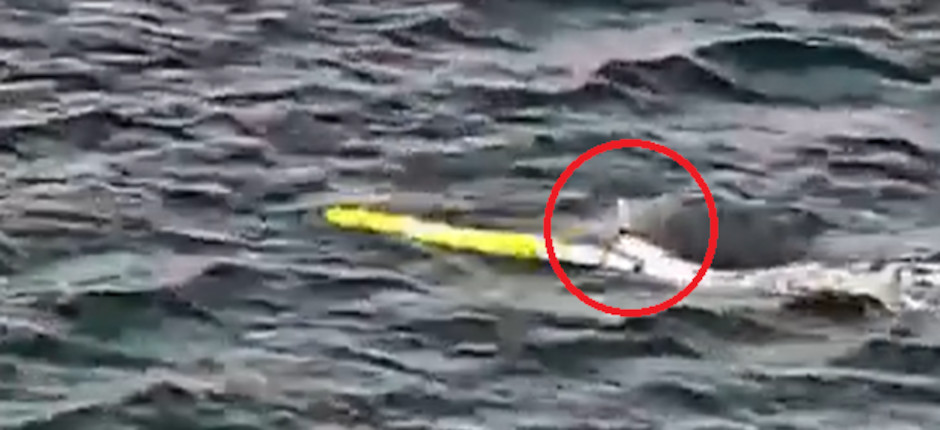 An Iranian torpedo-like drone has featured in several propaganda videos