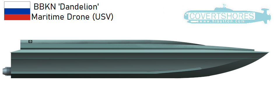 New Russian USV Dandelion