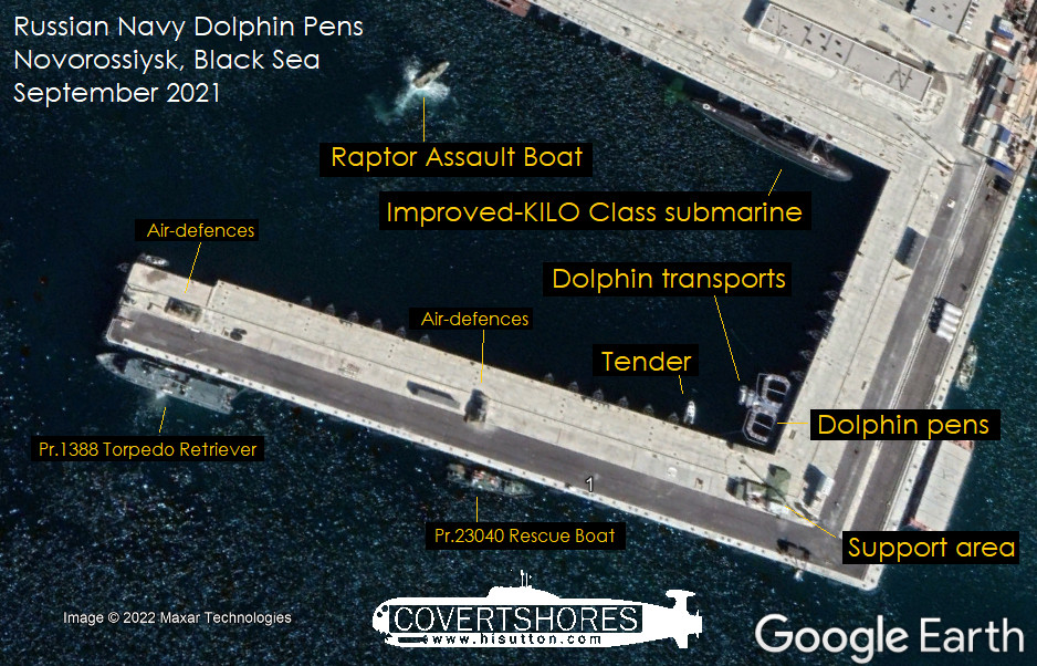 Russian Navy Deployed Trained Dolphins To Novorossiysk In Black Sea