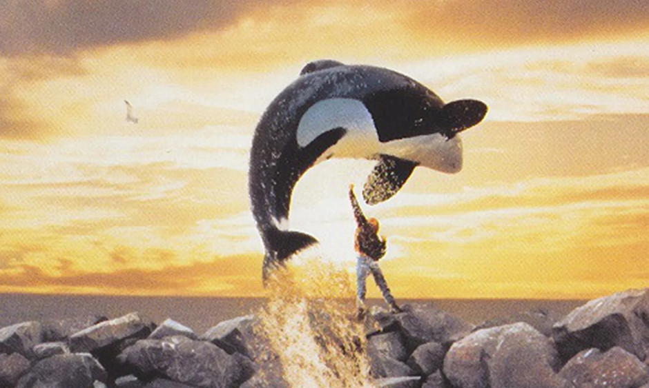 Free Willy artwork